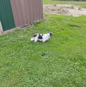 Meet your Posher, Mitchell